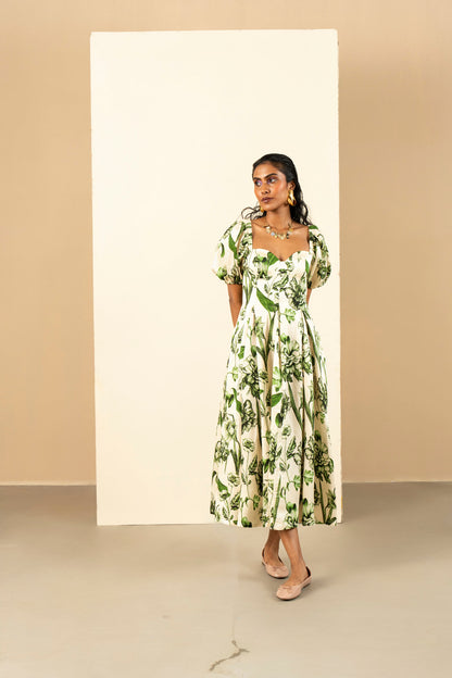 Olive Brava Midi Dress